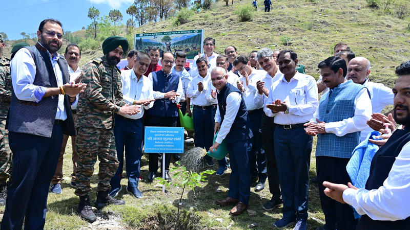 SJVN holds tree plantation drive